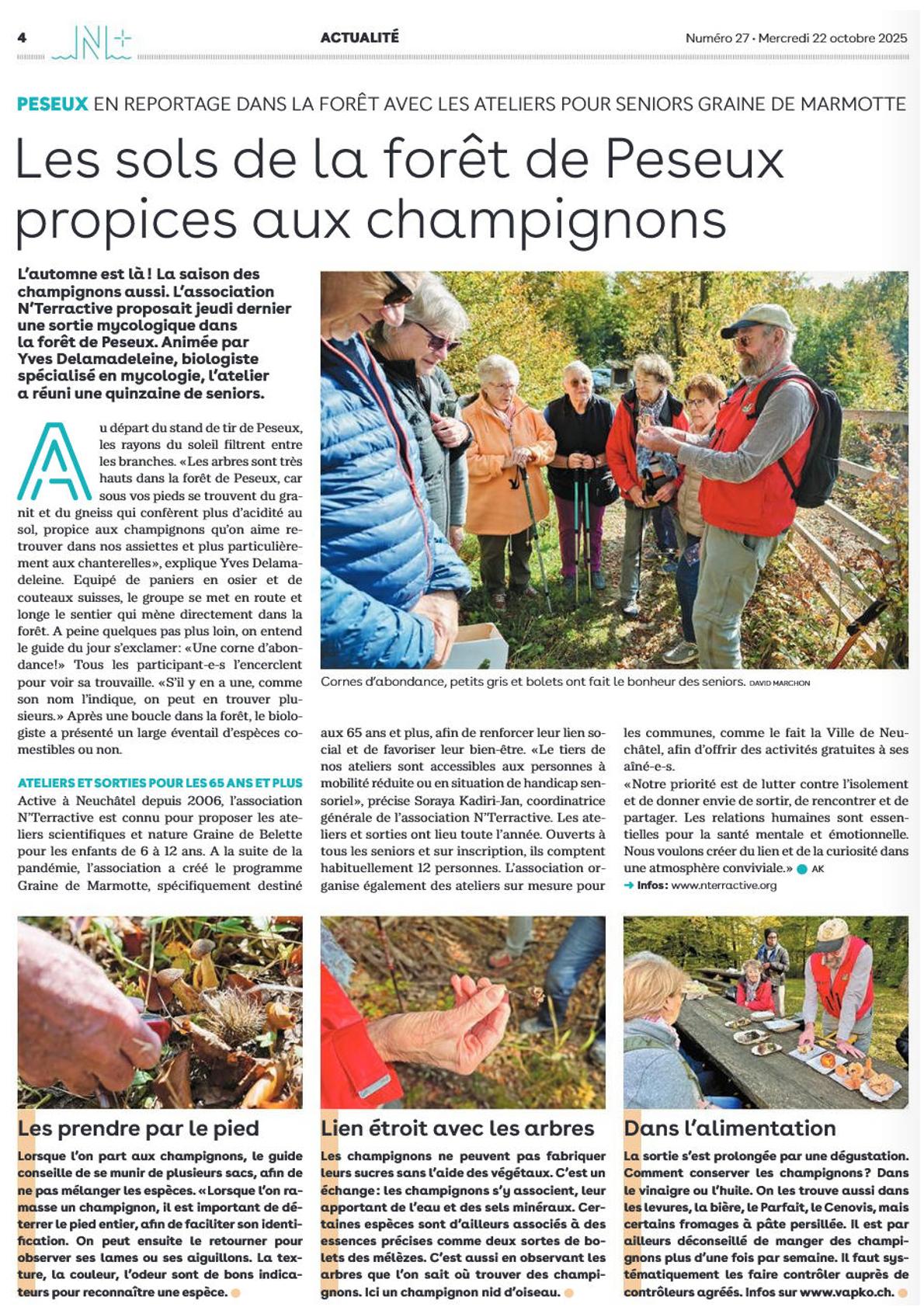 article bulcom n.36 07.10.2022